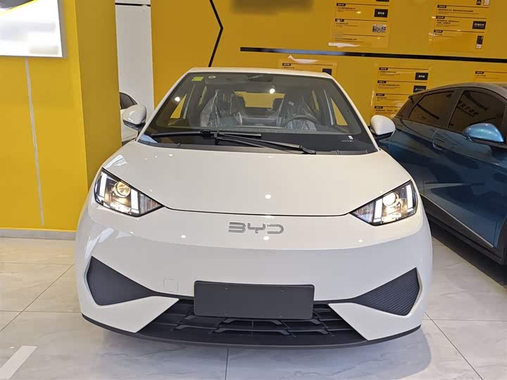 BYD Seagull 2025 2025款 智驾版 305km 活力版