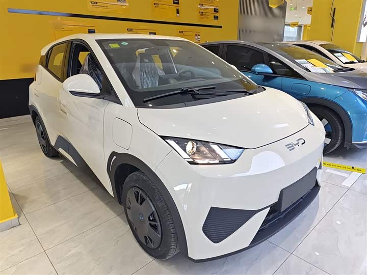 BYD Seagull 2025 2025款 智驾版 305km 活力版