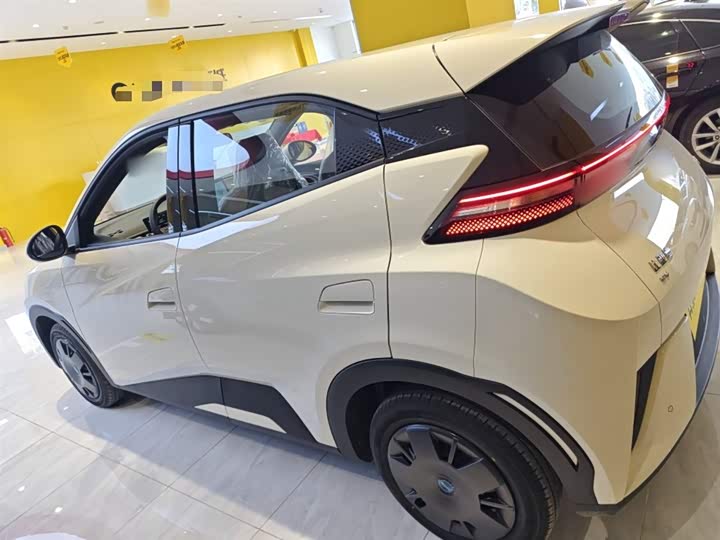 BYD Seagull 2025 2025款 智驾版 305km 活力版