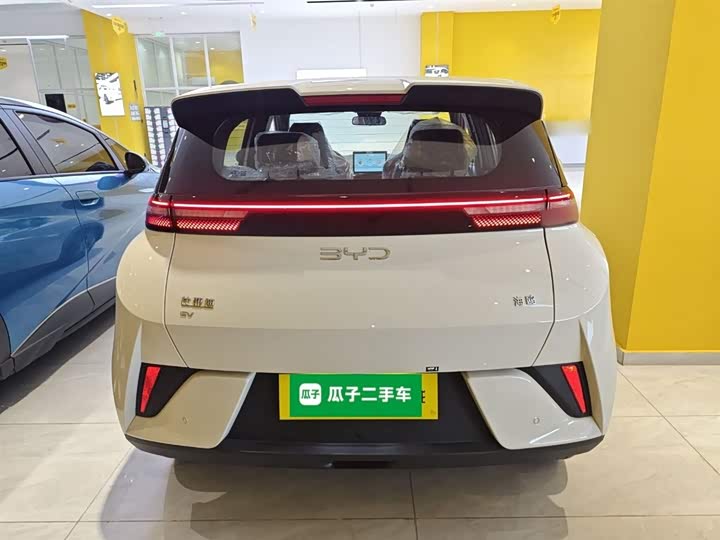 BYD Seagull 2025 2025款 智驾版 305km 活力版