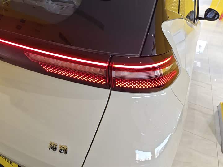 BYD Seagull 2025 2025款 智驾版 305km 活力版