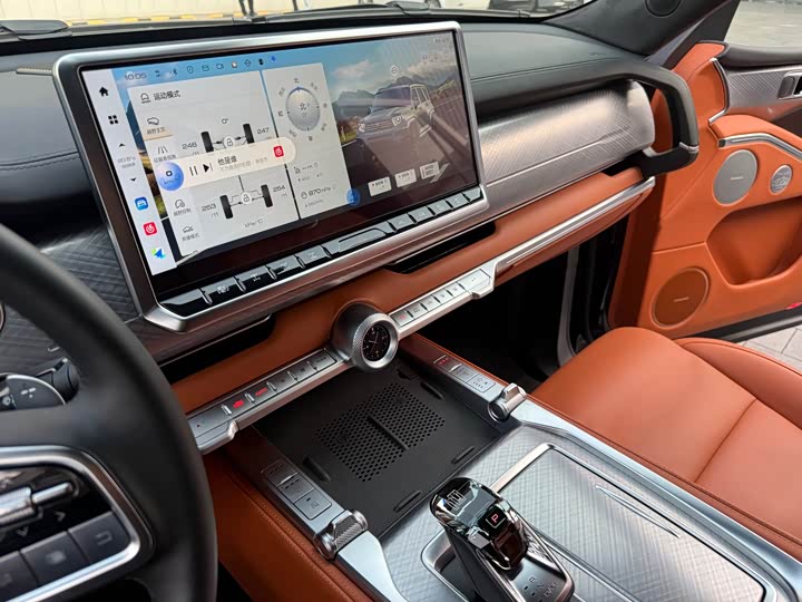 Tank 700 Hybrid 2024 2024款 Hi4-T 极境版