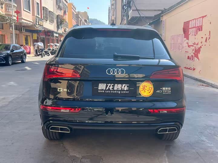 Audi Q5L 2025 2025款 45周年典藏版 40 TFSI 豪华动感型