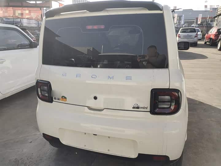 Geely Galaxy Panda Mini 2025 2025款 熊猫mini 210km 元气熊