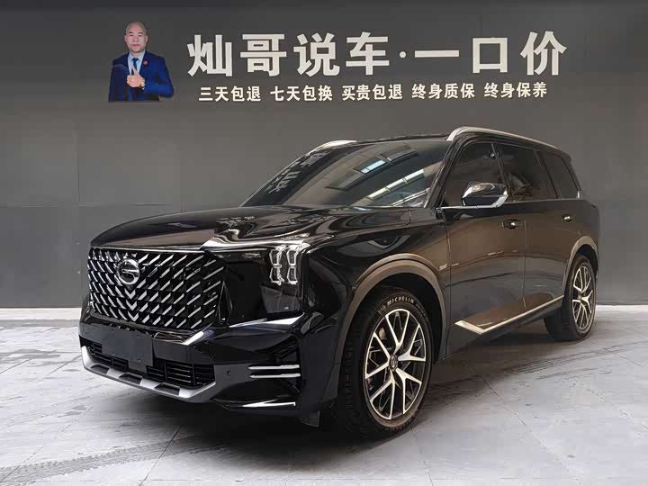 GAC Trumpchi GS8 2025 2025款 领航系列 2.0TGDI 两驱豪华版 5座