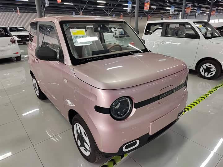 Geely Galaxy Panda Mini 2025 2025款 熊猫mini 210km 元气熊