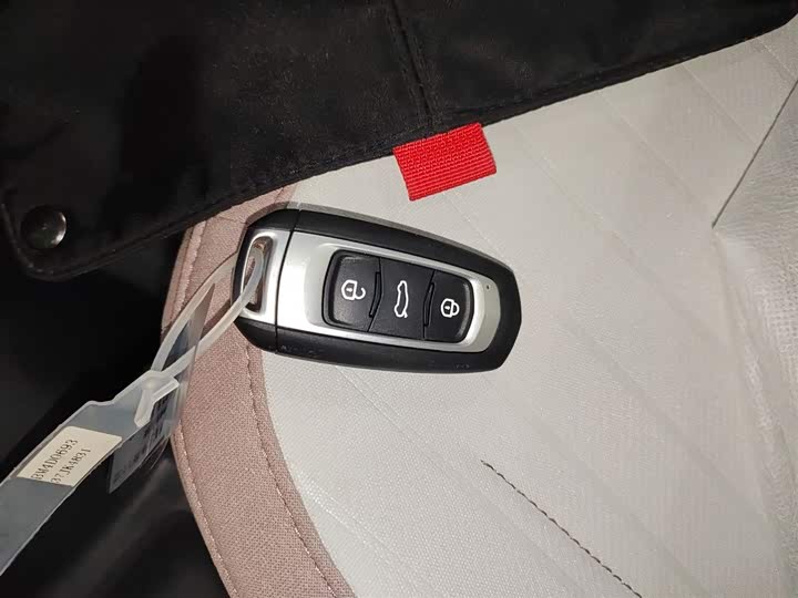 Geely Galaxy Panda Mini 2025 2025款 熊猫mini 210km 元气熊