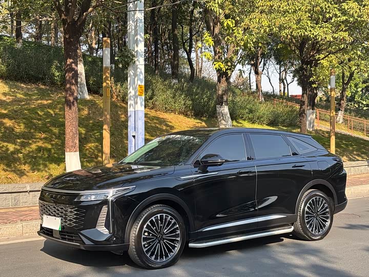 Exeed RX C-DM Hybrid 2024 2024款 1.5T 长续航Pro