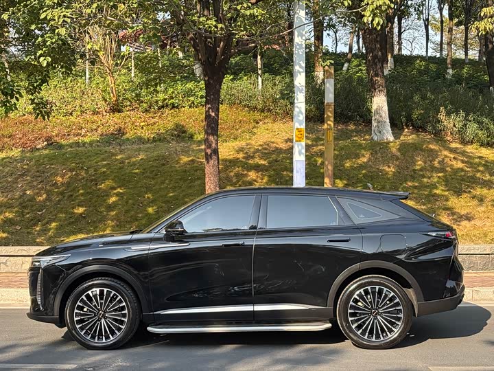 Exeed RX C-DM Hybrid 2024 2024款 1.5T 长续航Pro