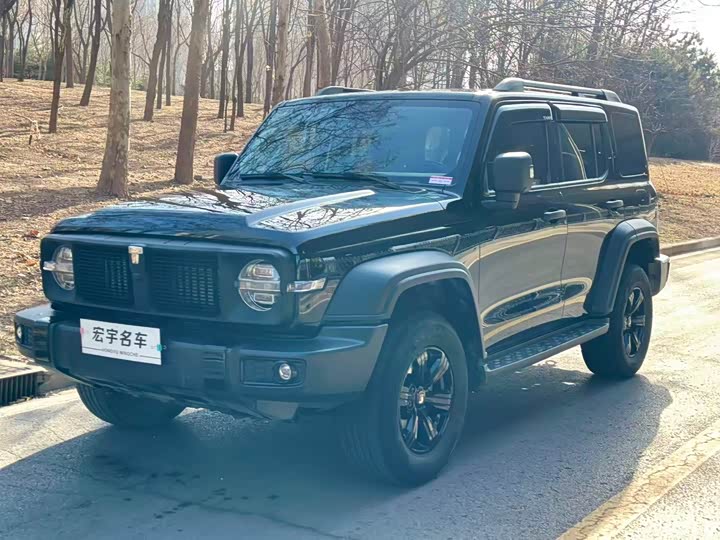 Tank 300 2024 2024款 2.0T 征服者