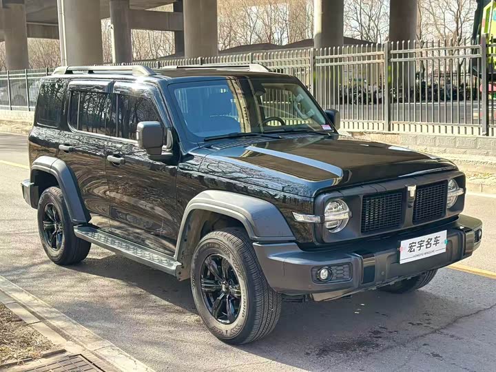 Tank 300 2024 2024款 2.0T 征服者