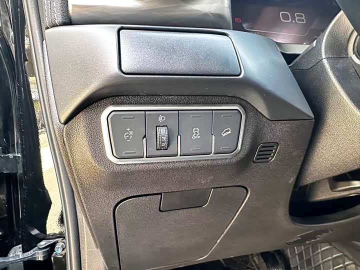 Tank 300 2024 2024款 2.0T 征服者