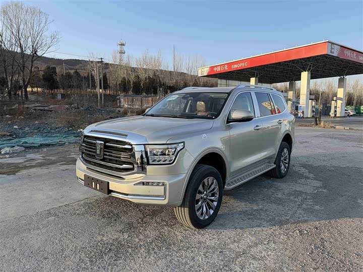 Tank 500 Hybrid 2025 2025款 Hi4-Z