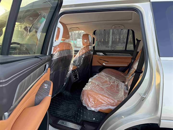 Tank 500 Hybrid 2025 2025款 Hi4-Z