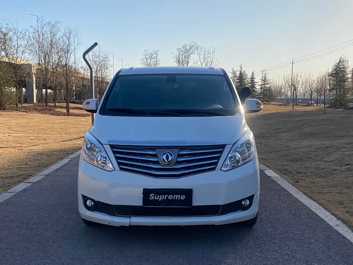 Dongfeng Forthing Lingzhi Plus 2021 2021款 营运版 2.0L 手动标准型 7座