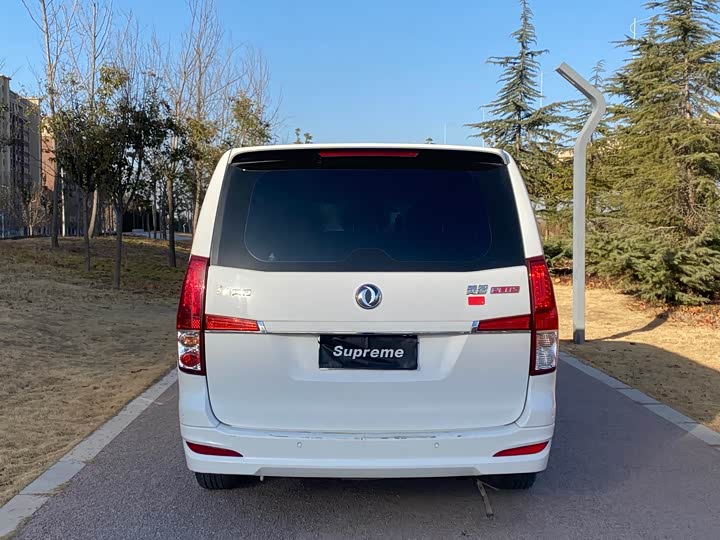 Dongfeng Forthing Lingzhi Plus 2021 2021款 营运版 2.0L 手动标准型 7座