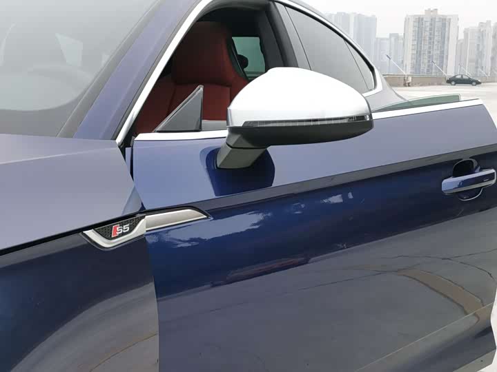 Audi S5 2020 2020款 S5 3.0T Sportback