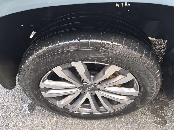 BAIC Beijing BJ60 2022 2022款 2.0T 十一版 五座