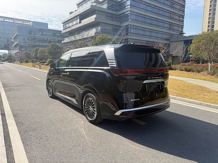 Denza D9 2025 2025款 DM-i 智驾版 1020 四驱旗舰型