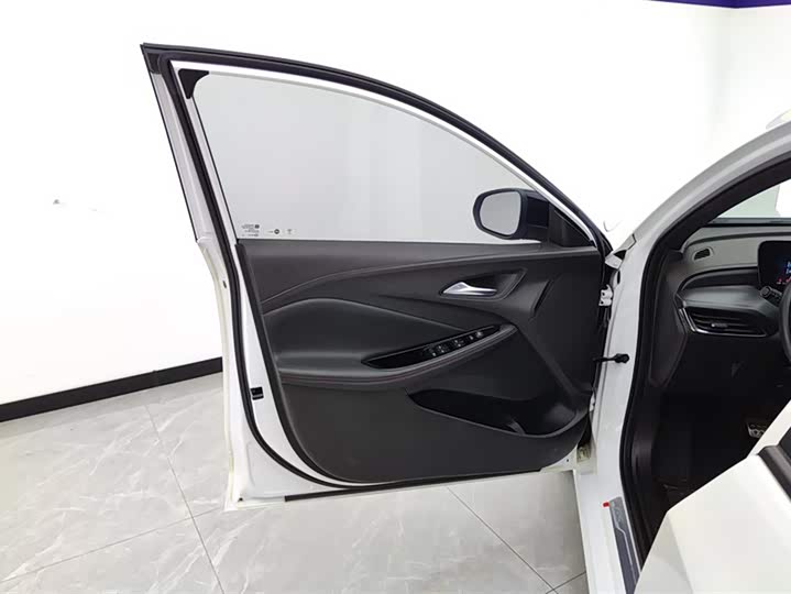 Buick Verano 2023 2023款 Pro GS 猎风版