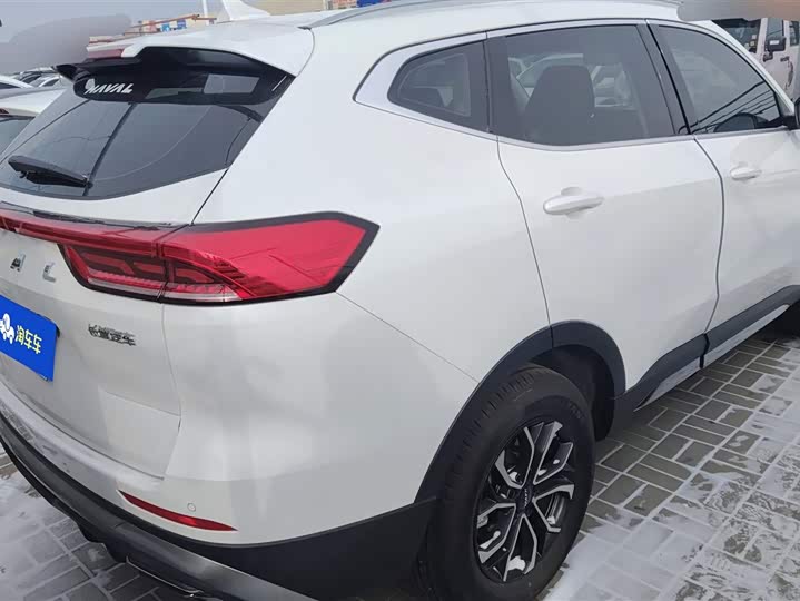 Haval H6 2025 2025款 1.5T 国潮都市版