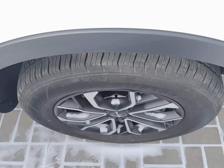 Haval H6 2025 2025款 1.5T 国潮都市版