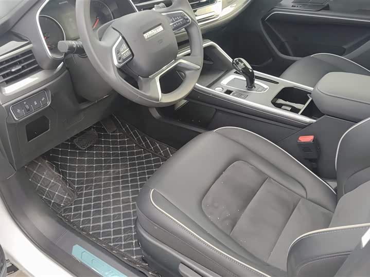 Haval H6 2025 2025款 1.5T 国潮都市版