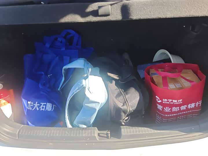 Volkswagen Polo 2023 2023款 Plus 1.5L 自动纵情乐活版