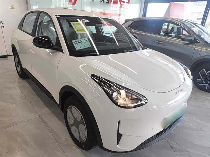 Geely Galaxy Geome 2026 2026款 310km 青春版