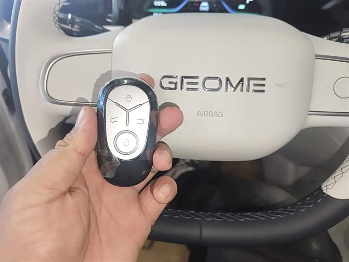 Geely Galaxy Geome 2026 2026款 310km 青春版