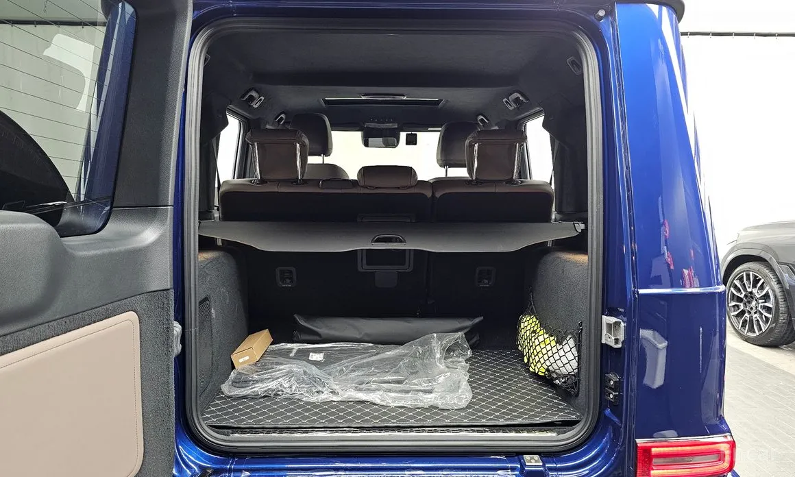 Mercedes-Benz G-Class 2024 G450d