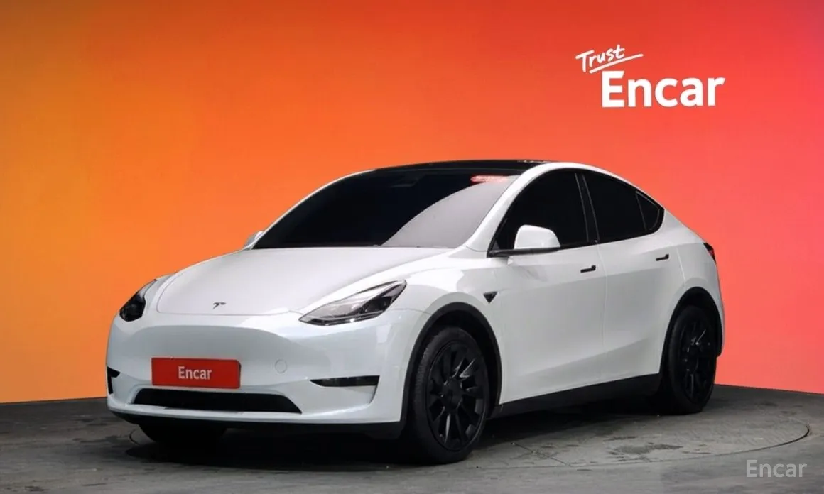 Tesla Model Y 2020 RWD