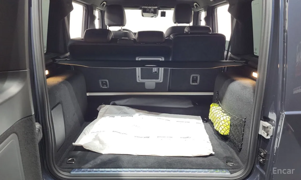 Mercedes-Benz G-Class 2024 G450d