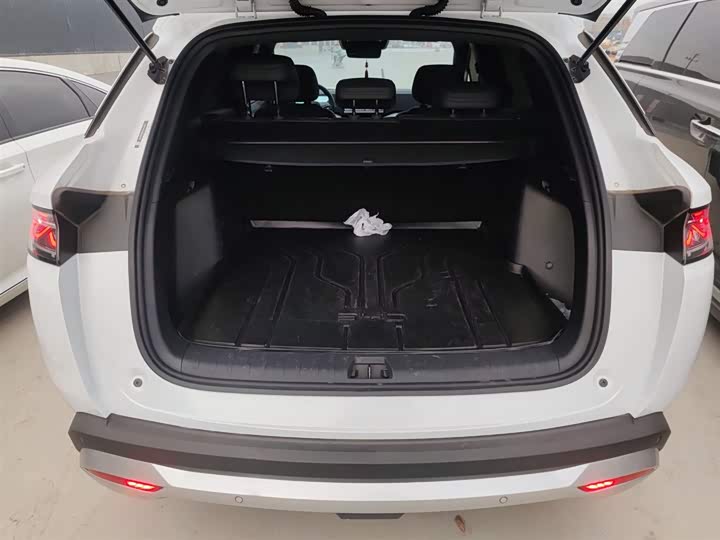 BYD Song L DM-i Hybrid 2025 2025款 智驾版 112km 领先型