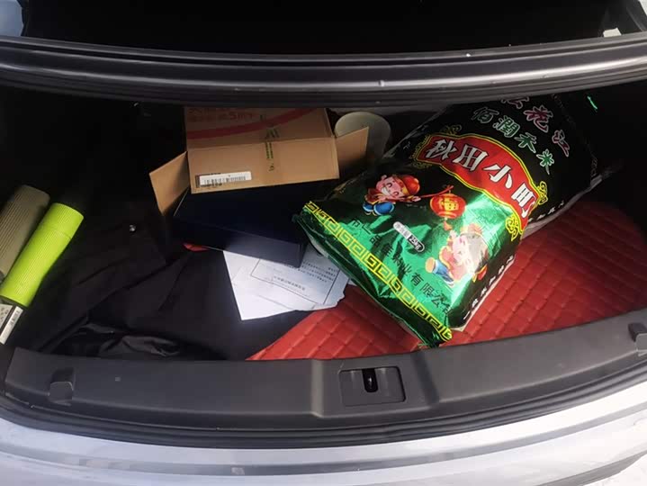 Hongqi E-QM5 2024 2024款 610km PLUS