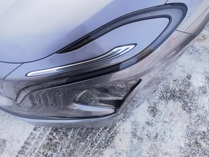 Hongqi E-QM5 2024 2024款 610km PLUS