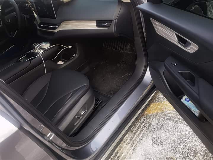 Hongqi E-QM5 2024 2024款 610km PLUS