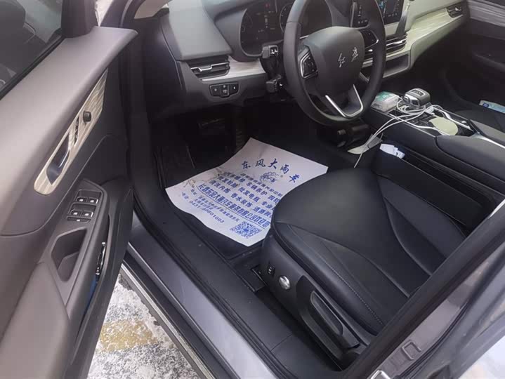 Hongqi E-QM5 2024 2024款 610km PLUS