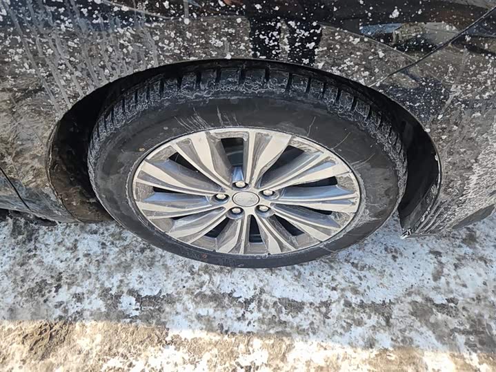 Hongqi E-QM5 2024 2024款 560km PLUS