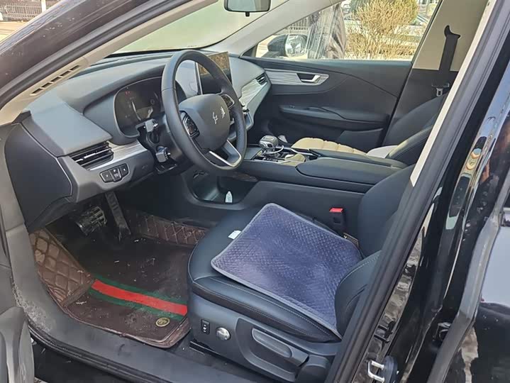 Hongqi E-QM5 2024 2024款 560km PLUS