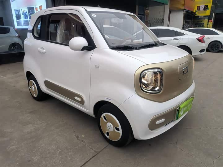 Bestune Pony 2026 2026款 222km 炫彩马