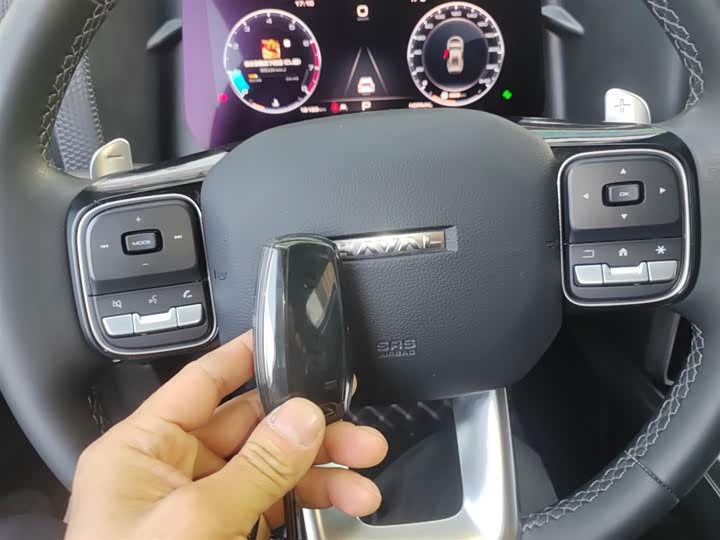 Haval Dargo 2024 2024款 1.5T DCT边牧版