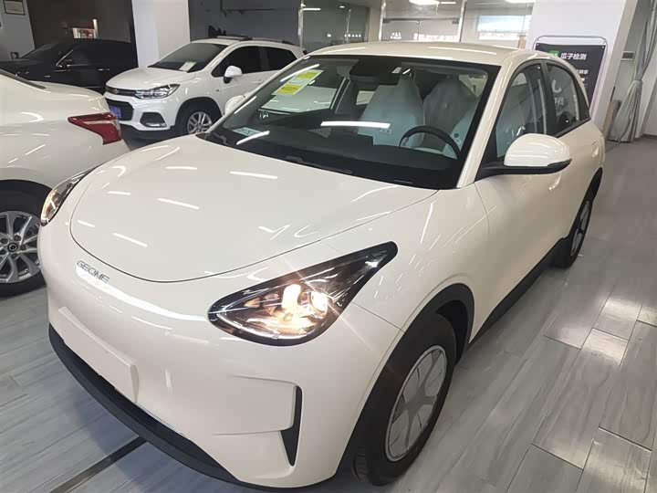 Geely Galaxy Geome 2026 2026款 310km 青春版