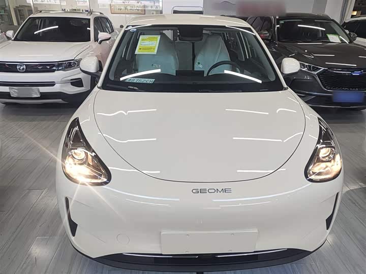 Geely Galaxy Geome 2026 2026款 310km 青春版