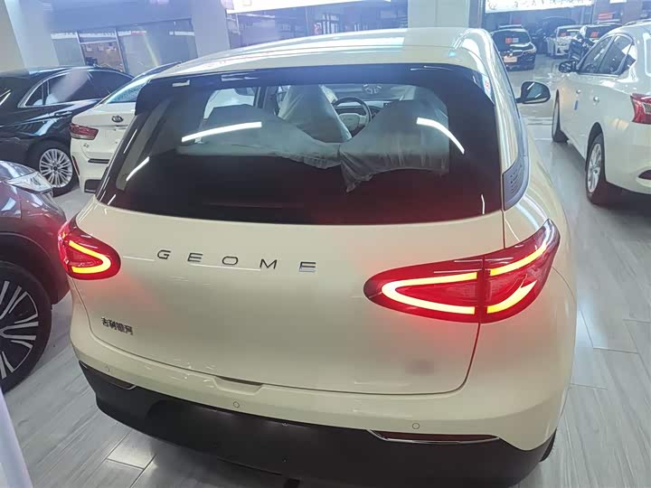 Geely Galaxy Geome 2026 2026款 310km 青春版