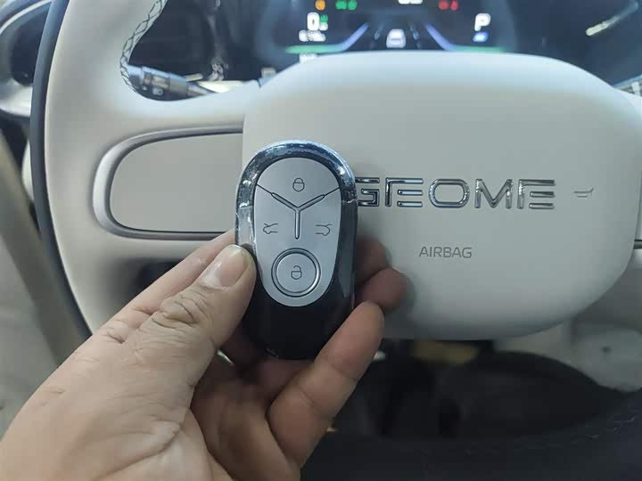Geely Galaxy Geome 2026 2026款 310km 青春版