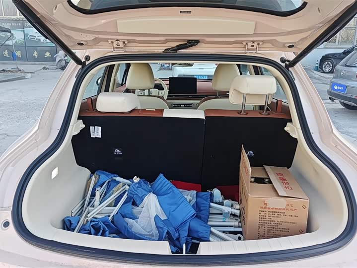 Ora Good Cat (03) 2025 2025款 430km 尊荣型