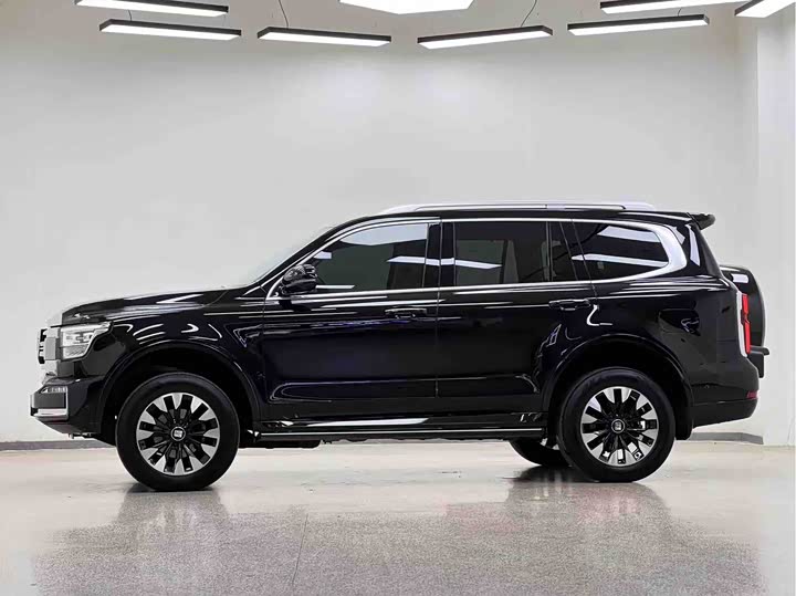 Tank 500 2023 2023款 3.0T 运动版 造境型 5座