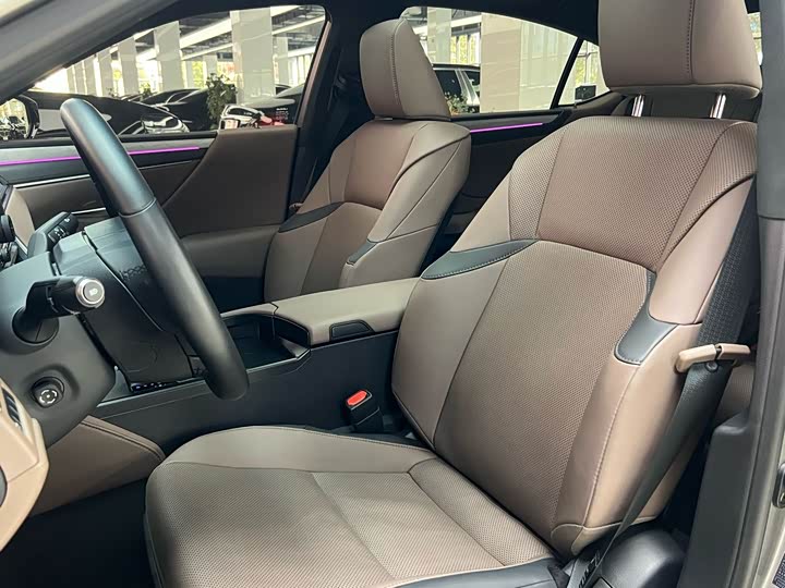 Lexus ES 2025 2025款 200 臻享版