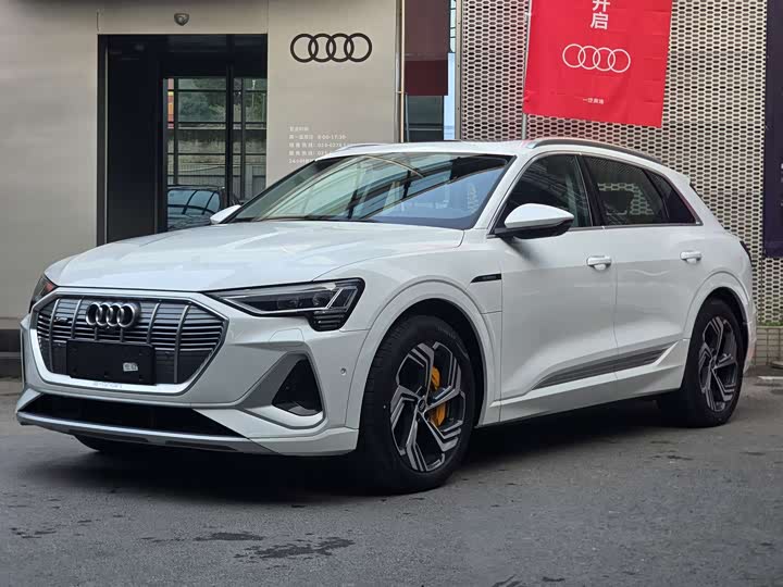 Audi e-tron 2021 2021款 50 quattro 臻选型